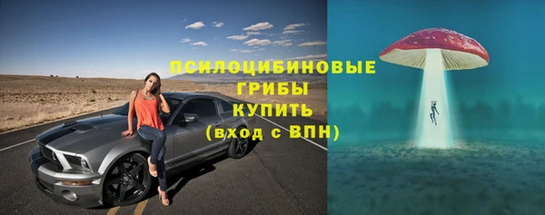 крисы Абдулино