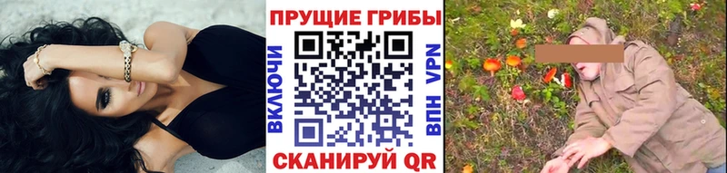 Галлюциногенные грибы Psilocybe  Приволжск 